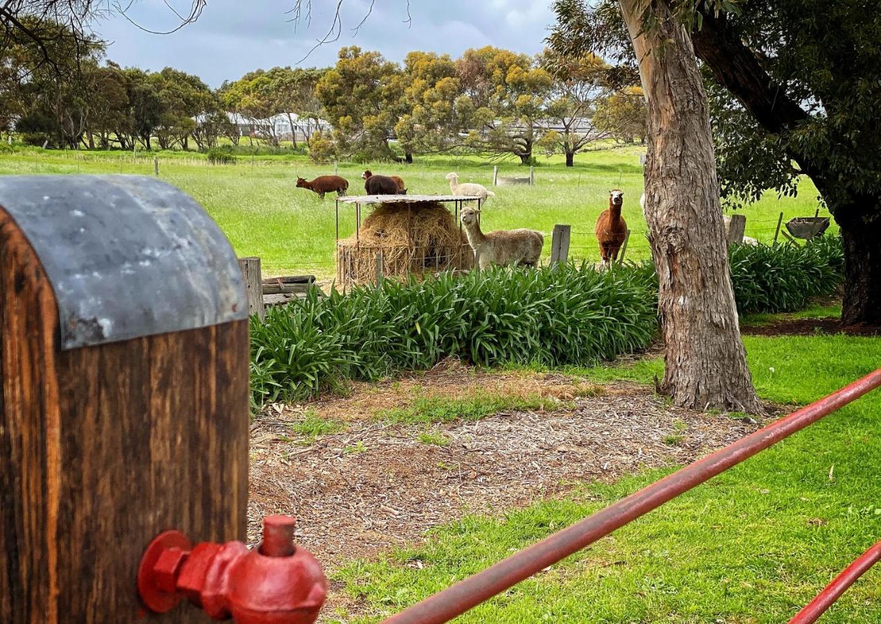 Cherry Plum Cottages Port Fairy Exterior photo