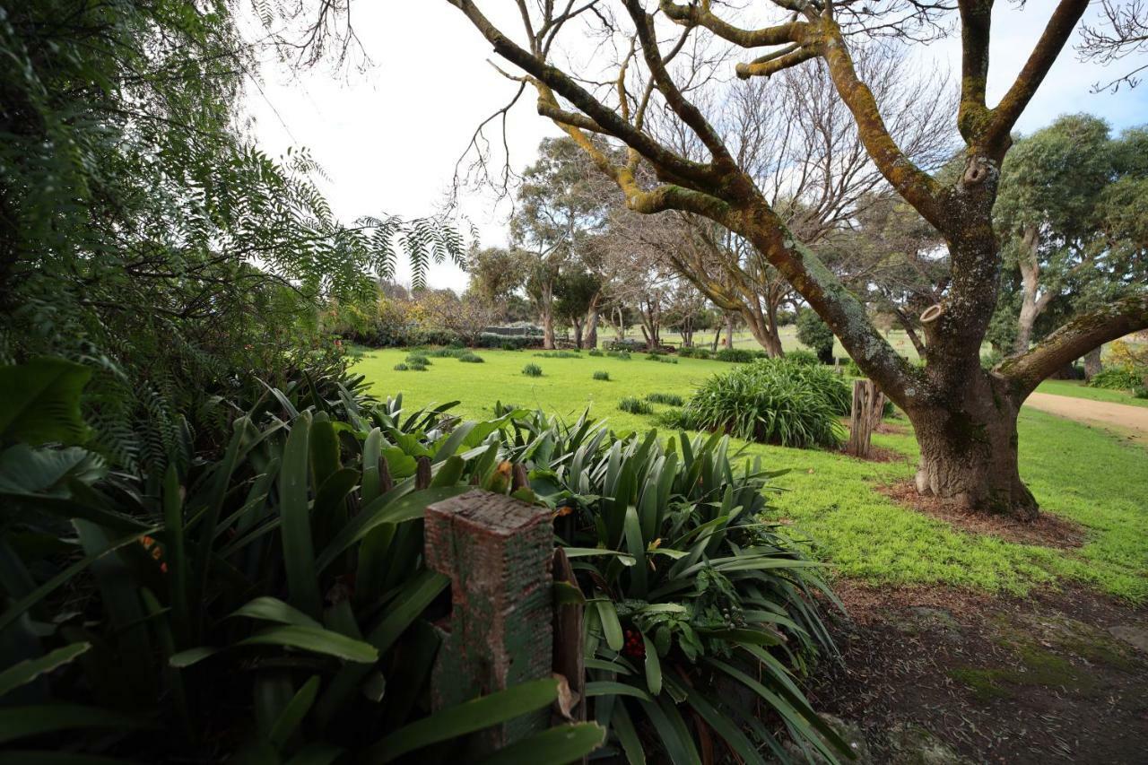 Cherry Plum Cottages Port Fairy Exterior photo