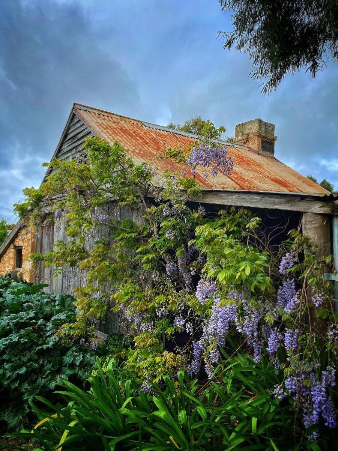 Cherry Plum Cottages Port Fairy Exterior photo